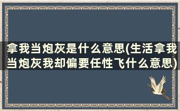 拿我当炮灰是什么意思(生活拿我当炮灰我却偏要任性飞什么意思)