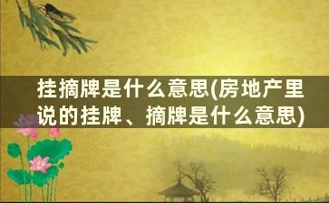 挂摘牌是什么意思(房地产里说的挂牌、摘牌是什么意思)