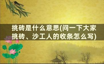 挑砖是什么意思(问一下大家挑砖、沙工人的收条怎么写)