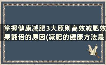 掌握健康减肥3大原则高效减肥效果翻倍的原因(减肥的健康方法是什么)