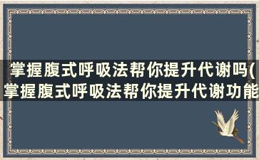 掌握腹式呼吸法帮你提升代谢吗(掌握腹式呼吸法帮你提升代谢功能)