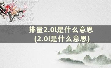 排量2.0l是什么意思(2.0l是什么意思)