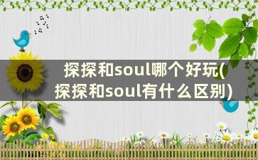 探探和soul哪个好玩(探探和soul有什么区别)