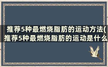 推荐5种最燃烧脂肪的运动方法(推荐5种最燃烧脂肪的运动是什么)