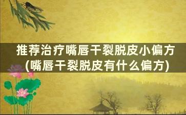 推荐治疗嘴唇干裂脱皮小偏方(嘴唇干裂脱皮有什么偏方)