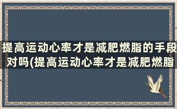 提高运动心率才是减肥燃脂的手段对吗(提高运动心率才是减肥燃脂的手段嘛)