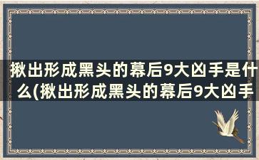 揪出形成黑头的幕后9大凶手是什么(揪出形成黑头的幕后9大凶手是)