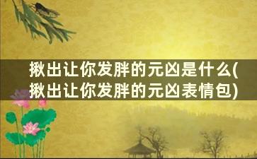 揪出让你发胖的元凶是什么(揪出让你发胖的元凶表情包)