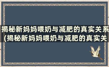 揭秘新妈妈喂奶与减肥的真实关系(揭秘新妈妈喂奶与减肥的真实关系)