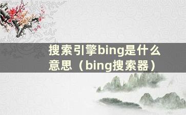 搜索引擎bing是什么意思（bing搜索器）