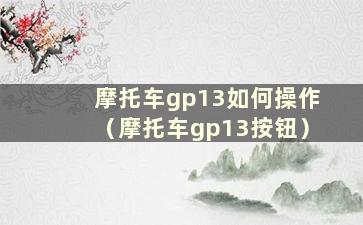 摩托车gp13如何操作（摩托车gp13按钮）