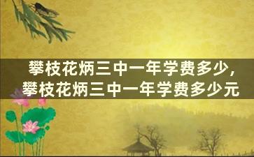 攀枝花炳三中一年学费多少,攀枝花炳三中一年学费多少元