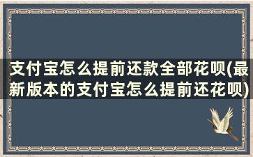 支付宝怎么提前还款全部花呗(最新版本的支付宝怎么提前还花呗)