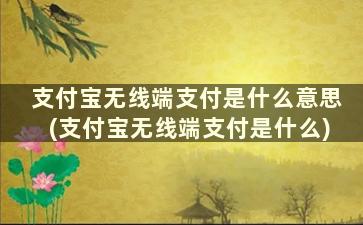 支付宝无线端支付是什么意思(支付宝无线端支付是什么)