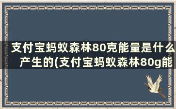 支付宝蚂蚁森林80克能量是什么产生的(支付宝蚂蚁森林80g能量怎么来的)