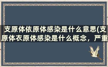 支原体依原体感染是什么意思(支原体衣原体感染是什么概念，严重吗)