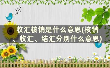 收汇核销是什么意思(核销、收汇、结汇分别什么意思)