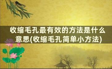 收缩毛孔最有效的方法是什么意思(收缩毛孔简单小方法)