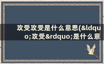 攻受攻受是什么意思(“攻受”是什么意思)