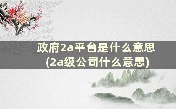 政府2a平台是什么意思(2a级公司什么意思)