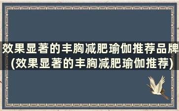 效果显著的丰胸减肥瑜伽推荐品牌(效果显著的丰胸减肥瑜伽推荐)