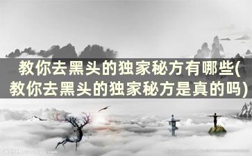 教你去黑头的独家秘方有哪些(教你去黑头的独家秘方是真的吗)