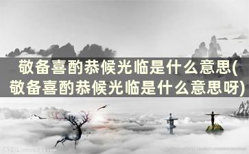 敬备喜酌恭候光临是什么意思(敬备喜酌恭候光临是什么意思呀)