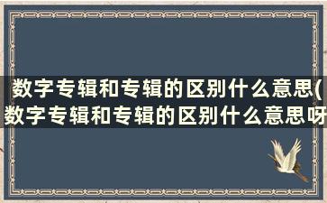 数字专辑和专辑的区别什么意思(数字专辑和专辑的区别什么意思呀)