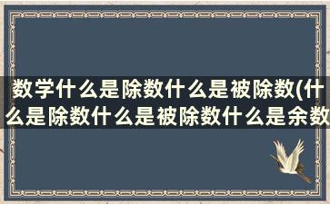 数学什么是除数什么是被除数(什么是除数什么是被除数什么是余数)