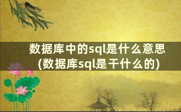 数据库中的sql是什么意思(数据库sql是干什么的)