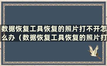 数据恢复工具恢复的照片打不开怎么办（数据恢复工具恢复的照片打不开如何修复）