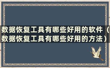 数据恢复工具有哪些好用的软件（数据恢复工具有哪些好用的方法）