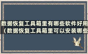 数据恢复工具箱里有哪些软件好用（数据恢复工具箱里可以安装哪些软件）