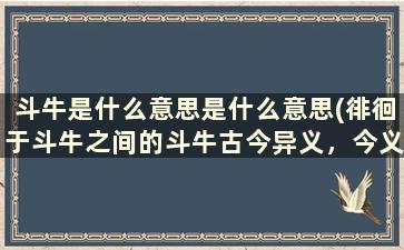 斗牛是什么意思是什么意思(徘徊于斗牛之间的斗牛古今异义，今义是什么为什么是斗dòu牛)