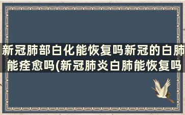 新冠肺部白化能恢复吗新冠的白肺能痊愈吗(新冠肺炎白肺能恢复吗)