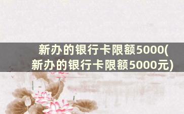 新办的银行卡限额5000(新办的银行卡限额5000元)