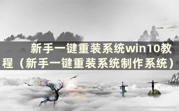 新手一键重装系统win10教程（新手一键重装系统制作系统）