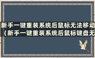 新手一键重装系统后鼠标无法移动（新手一键重装系统后鼠标键盘无法移动）