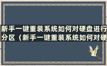 新手一键重装系统如何对硬盘进行分区（新手一键重装系统如何对硬盘空间进行分区）