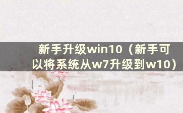 新手升级win10（新手可以将系统从w7升级到w10）