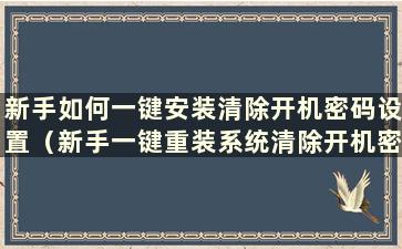 新手如何一键安装清除开机密码设置（新手一键重装系统清除开机密码）