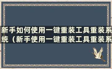 新手如何使用一键重装工具重装系统（新手使用一键重装工具重装系统会发生什么）