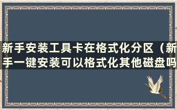 新手安装工具卡在格式化分区（新手一键安装可以格式化其他磁盘吗？）