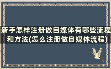 新手怎样注册做自媒体有哪些流程和方法(怎么注册做自媒体流程)