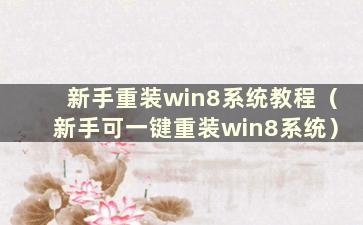 新手重装win8系统教程（新手可一键重装win8系统）