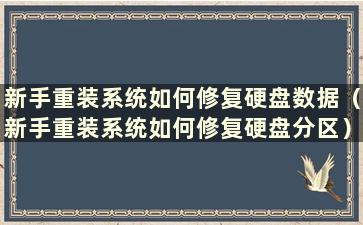 新手重装系统如何修复硬盘数据（新手重装系统如何修复硬盘分区）