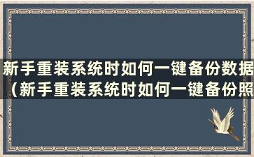 新手重装系统时如何一键备份数据（新手重装系统时如何一键备份照片）