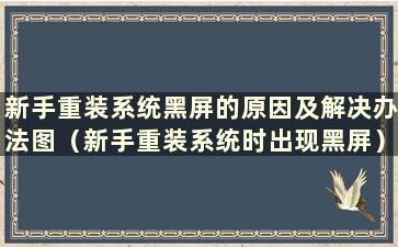 新手重装系统黑屏的原因及解决办法图（新手重装系统时出现黑屏）