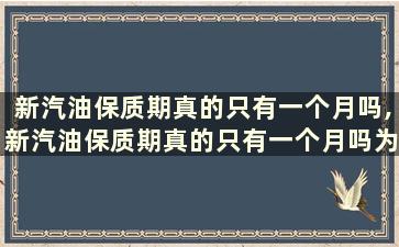 新汽油保质期真的只有一个月吗,新汽油保质期真的只有一个月吗为什么