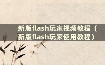 新版flash玩家视频教程（新版flash玩家使用教程）